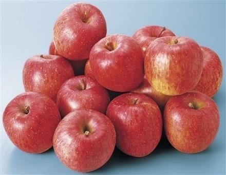 GF202長野県長野市いいづな産　畑さん家のサンふじりんご５㎏