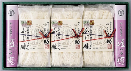 根岸物産　半生うどん詰合せ「ふじ娘」ⅠＦ－４０Ｃ