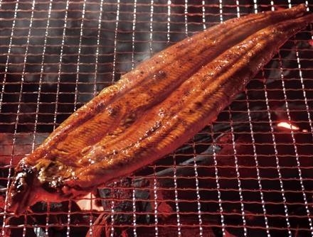 02:【冷凍】浜名湖（静岡県）産　うなぎ長蒲焼き（姫うなぎ）1尾　ご予約特典30P