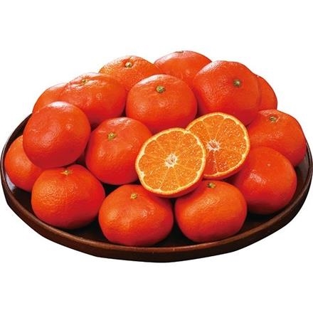 香川産 さぬき紅（お申込：12月11日まで）