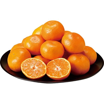 愛媛産 蜜るみかん（お申込：12月11日まで）