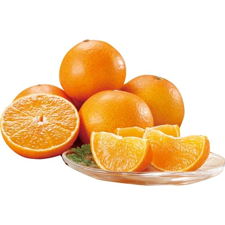 愛媛産 紅まどんな（お申込：12月5日まで）