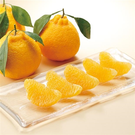 大分産 ハウスデコポン(葉付き)（お申込：12月11日まで）