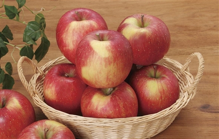 青森産 葉とらずサンふじりんご(2.8kg)