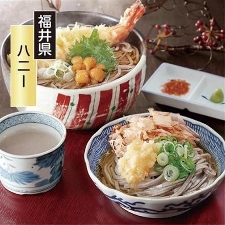 武生製麺 自家挽き越前そば（10食）