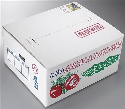 GF205長野県長野市いいづな産　畑さん家のわけありサンふじりんご