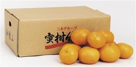 GF206和歌山県有田郡有田川町産　蜜柑伝承みかん５㎏無選別