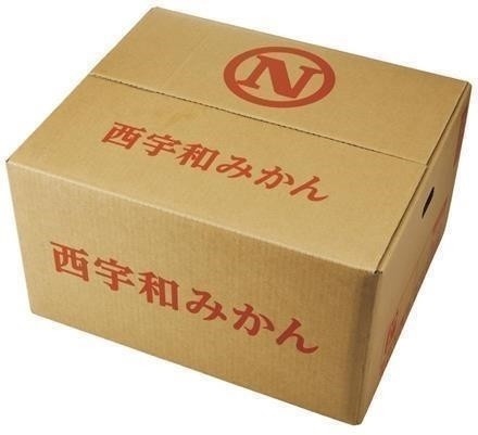 GF208愛媛県西宇和郡伊方町産　風車（かざぐるま）みかん10ｋｇMサイズ