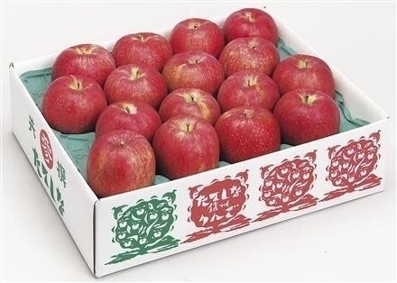 GF302長野県立科町産　立科サンふじりんご5㎏