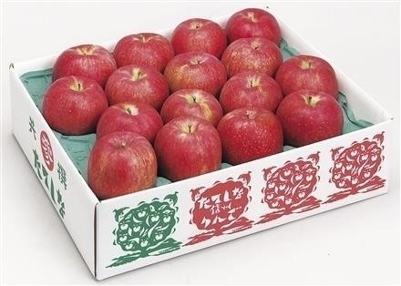 GF303長野県立科町産　立科サンふじりんご10kg