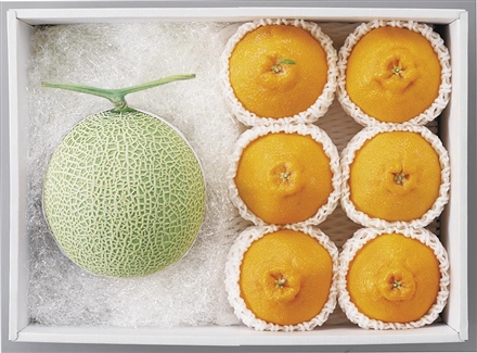 GF308アールスメロン＆デコポンセット