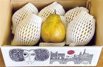 GF107西洋梨シルバーベル