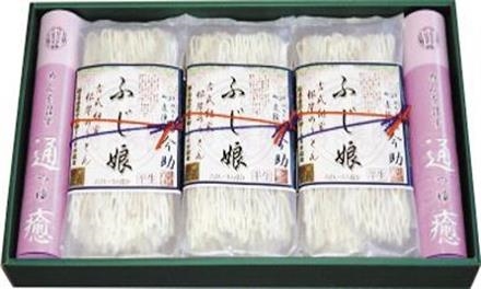 GF132根岸物産　半生うどん詰合せ「ふじ娘」ＩＦ－４０Ｃ