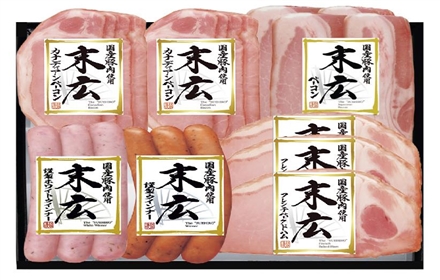 早割　GF044末広バラエティセットＳＰ－５８２