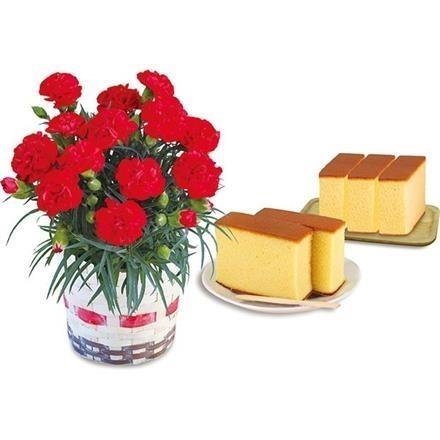 【早期割引】6008さかえ屋 蜂蜜かすてらとカーネーション「レッド（４号鉢）」