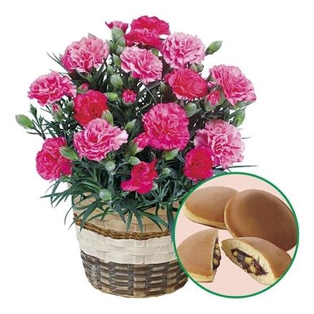 6020　カーネーション「さくらもなか」どら焼きセット