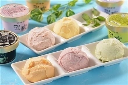 22A138乳蔵北海道アイスクリーム5種12個