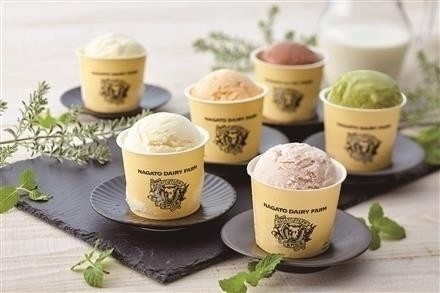 09A061長門牧場自家製アイスクリーム10個セット